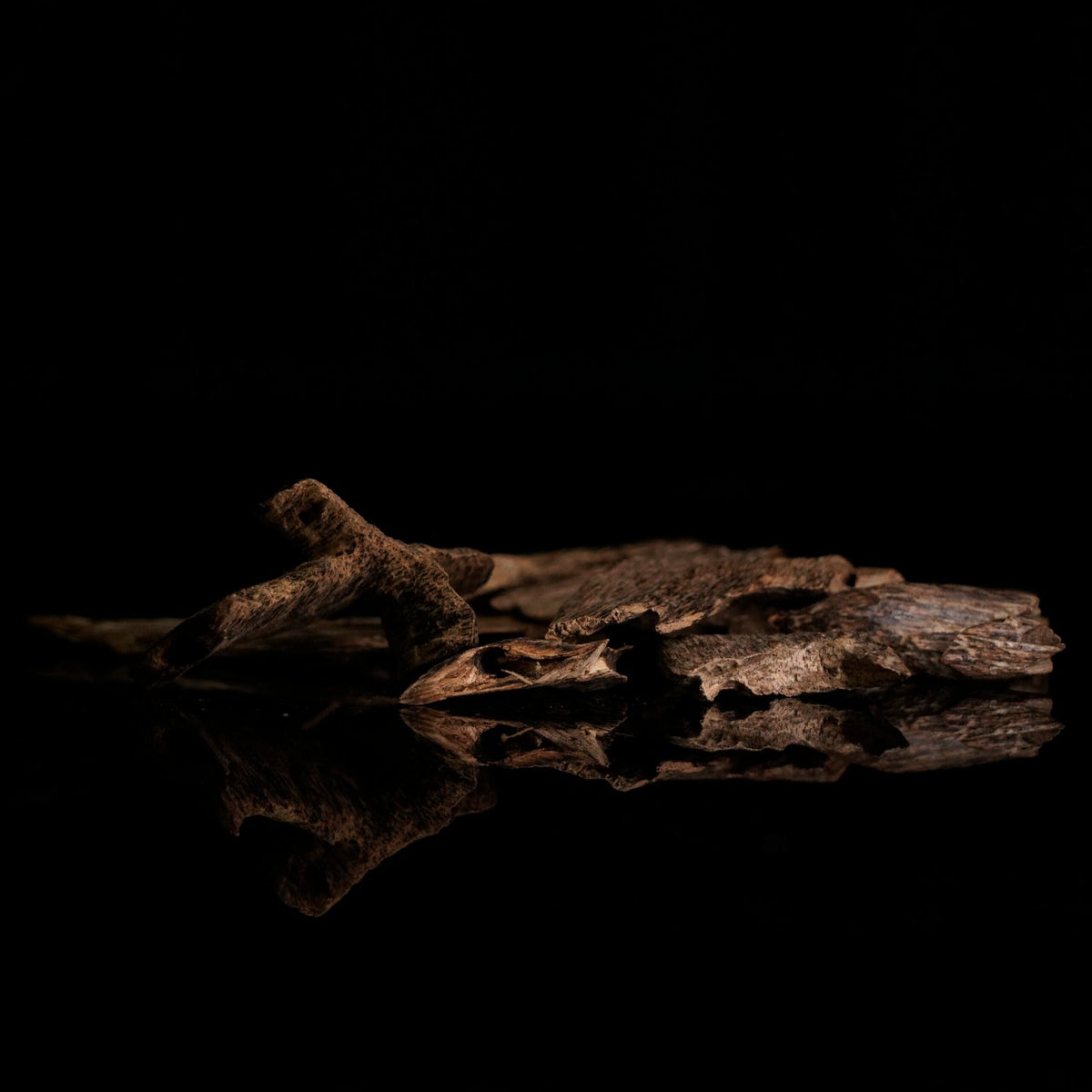 Oud Kalimantan Farashat - 12g (Tola)
