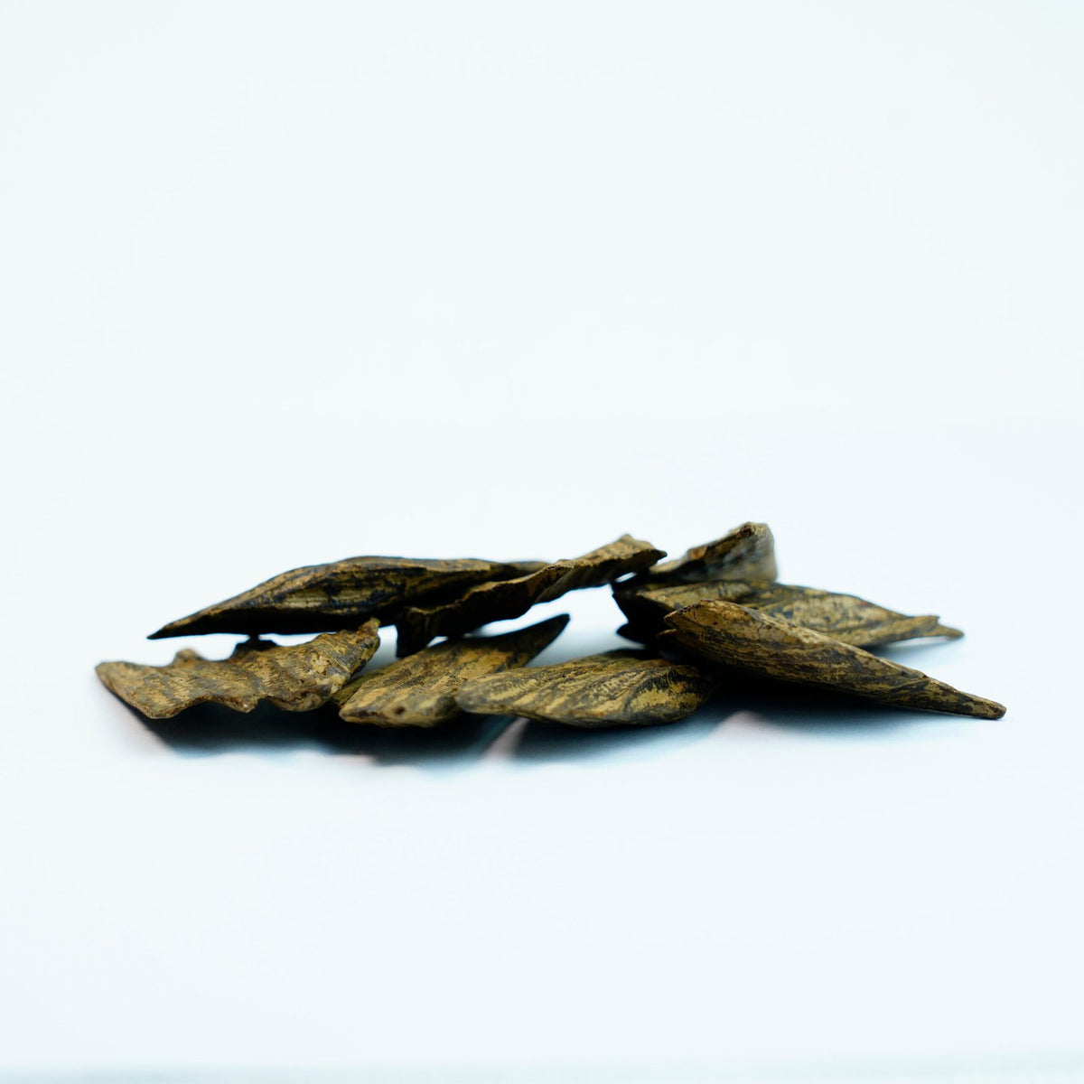 Oud Kalimantan Tiger - 12g (Tola)