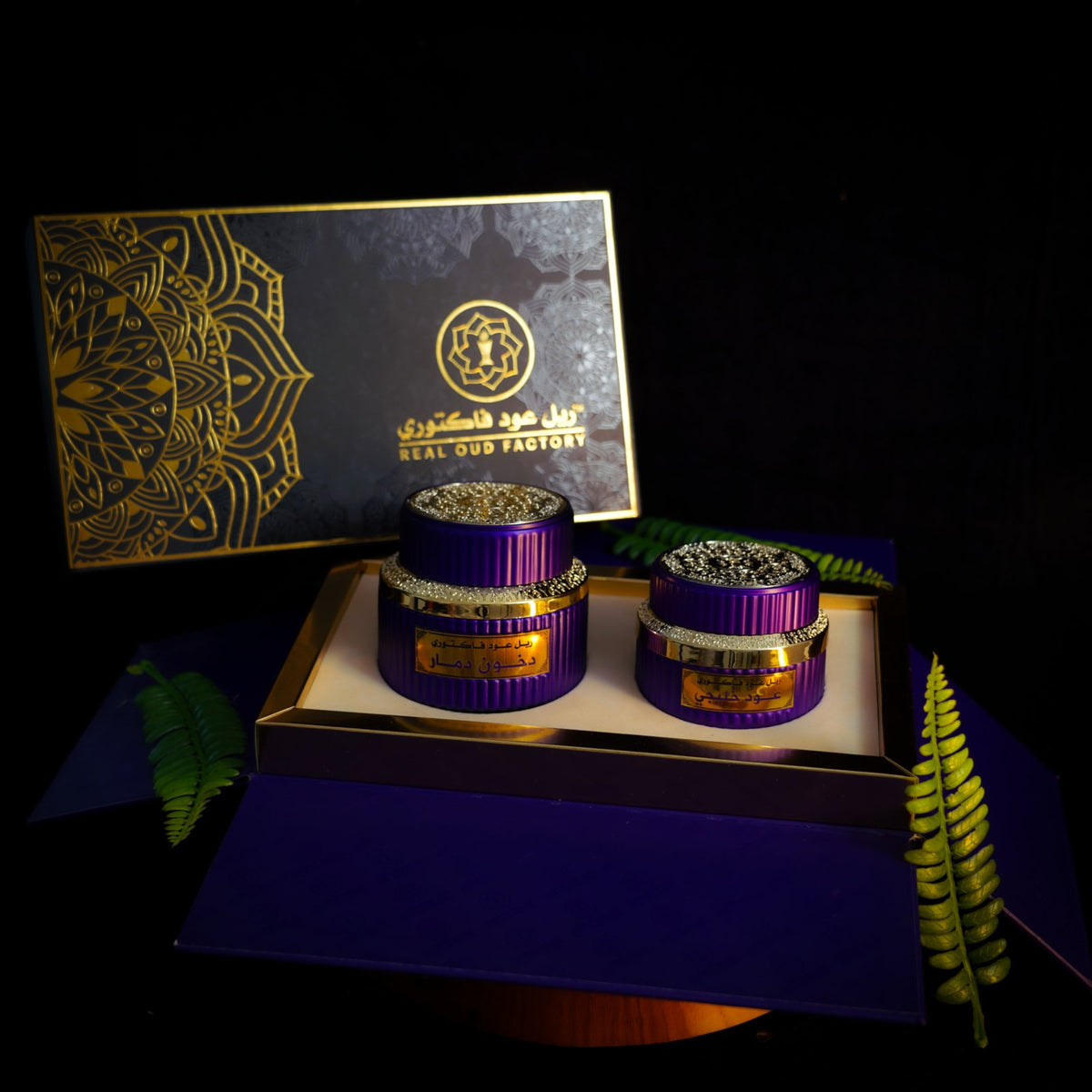 Purple Box