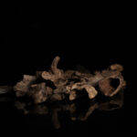 Oud Morroci Arayani - 12g (One Tola)
